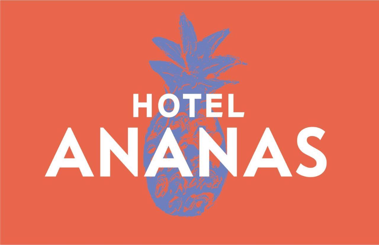 Hotel Boutique Ananas Cambaquara Exteriér fotografie